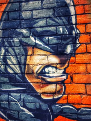 Bat Face